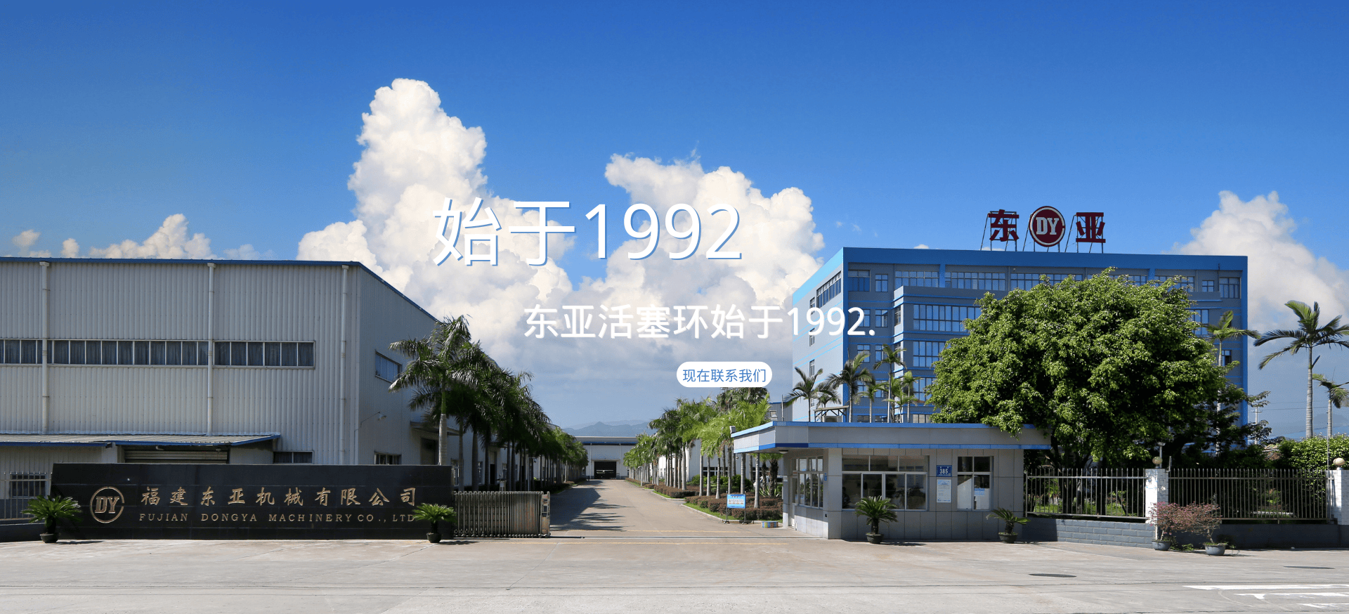 优质活塞环